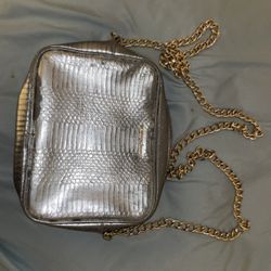 Victoria’s Secret Silver Bag