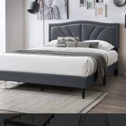 Full Grey Euro Plain With Ortho Matres!!