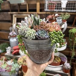 Valentine’s Day gift 