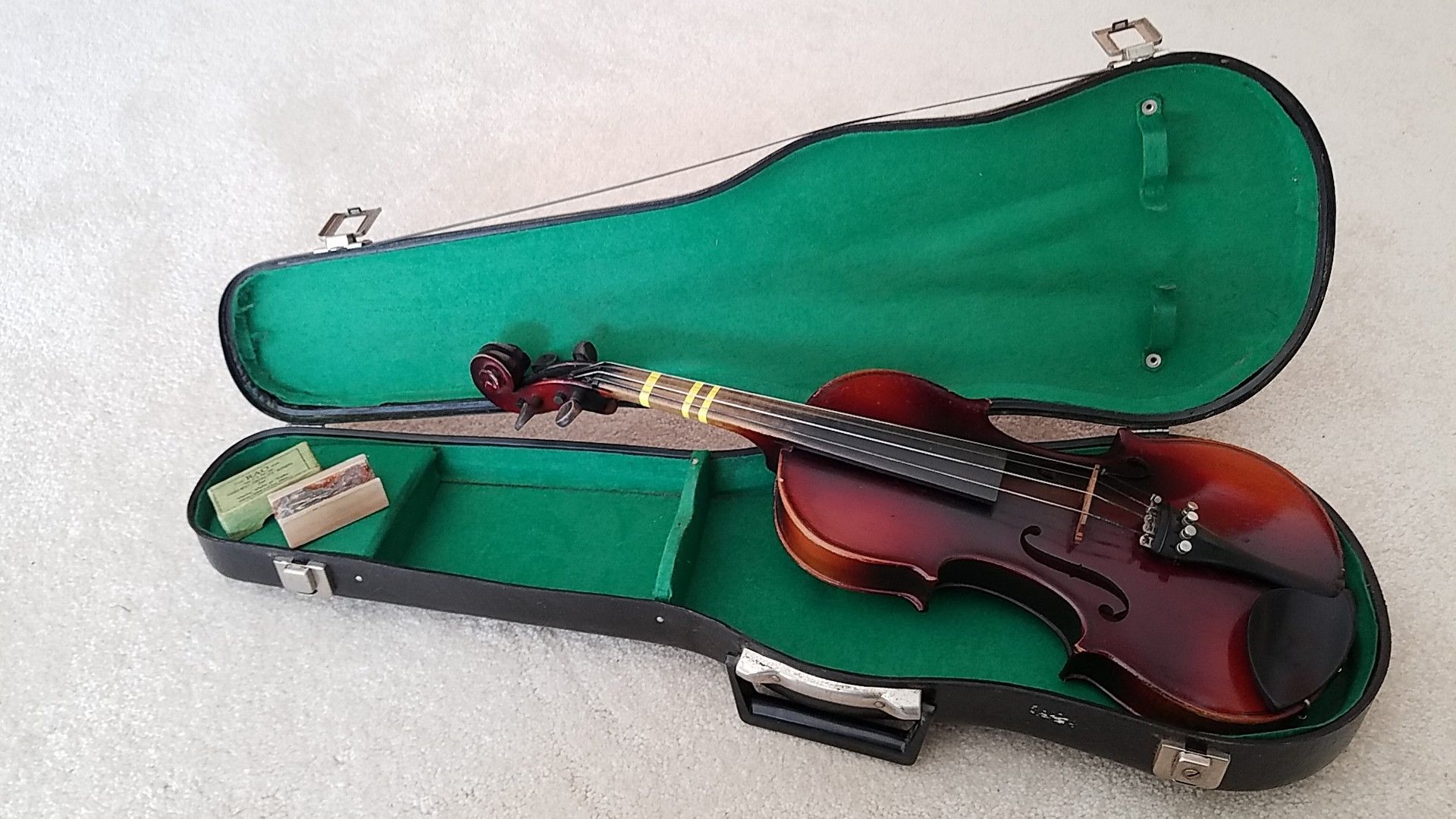 Violin