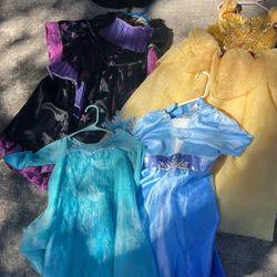 Princess Costumes
