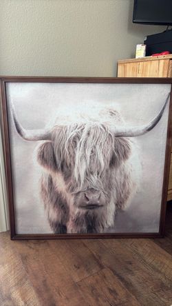 Long Haired Cow Picture 32in X 32in