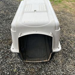 Dog Kennel 