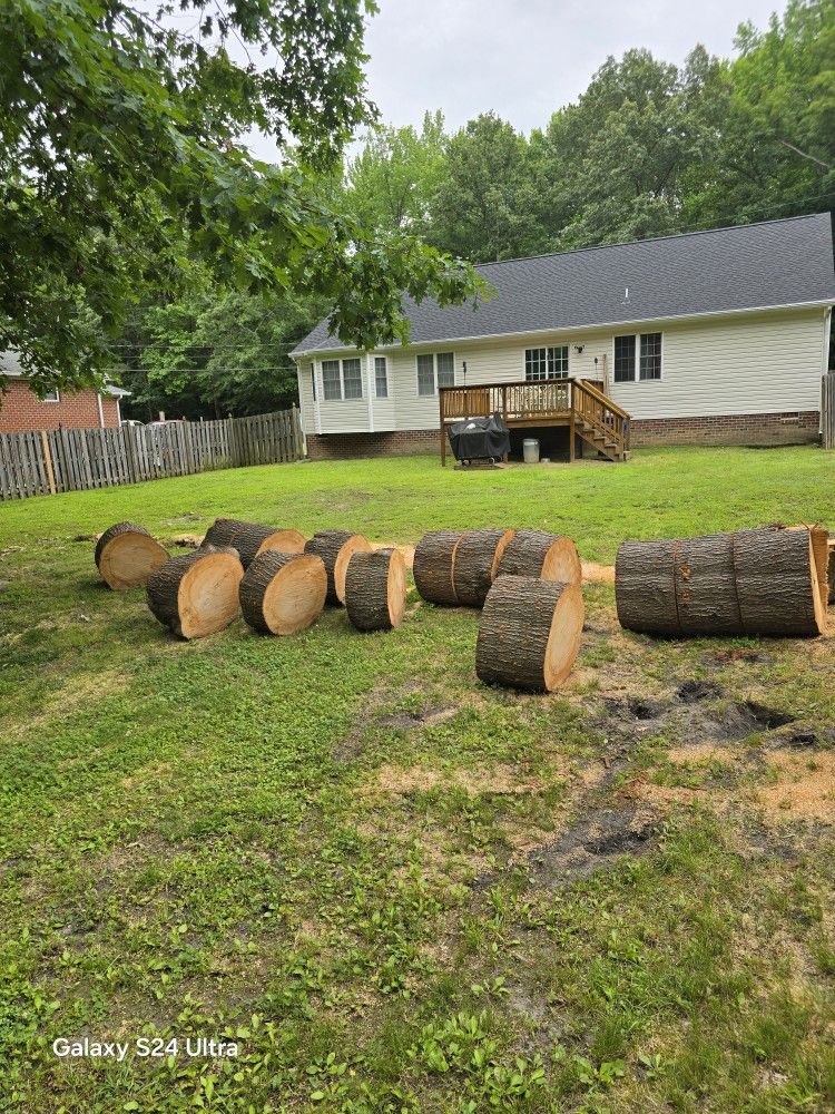 Free Oak Firewood 