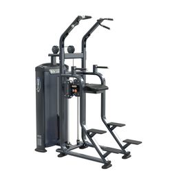 (NEW) Assisted Pull Up / Dip Combo PL7920