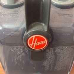 Hover Carpet Cleaner 40 Bucks