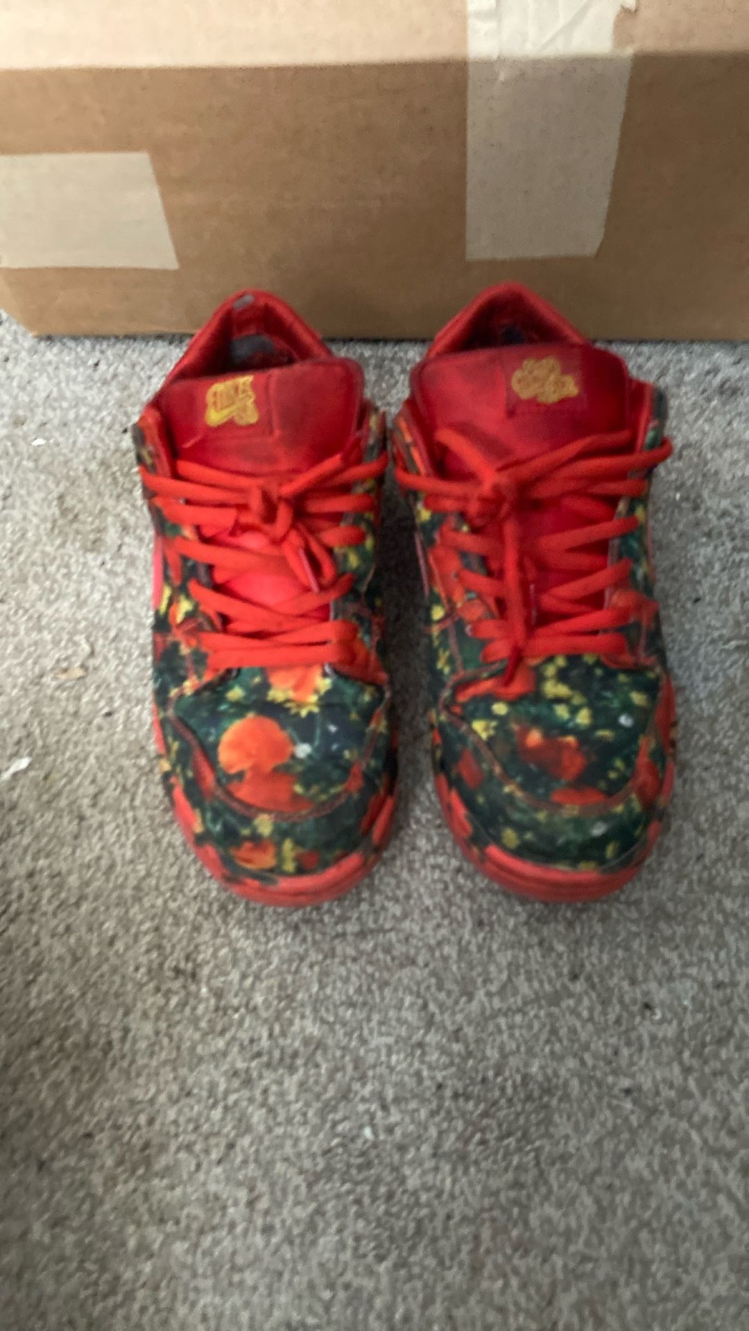 Nike Sb Dunks