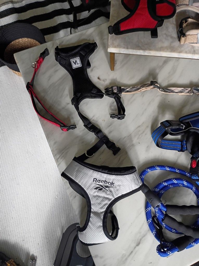 Dog Harnesses