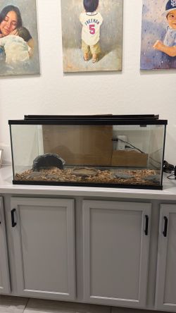 30 gallon aquarium