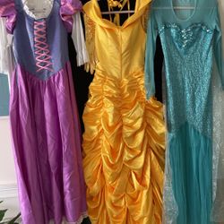 Adult Disney Gowns+Wigs - Elsa, Belle, Rapunzel