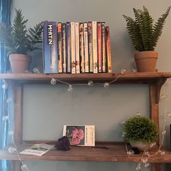 Shelves (only Shelves )
