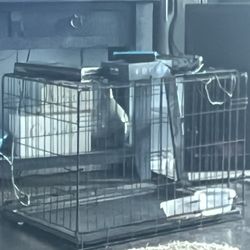 Dog Cage kennel 