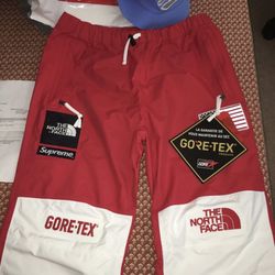 Supreme North Face GORTEX PANTS