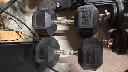 Rogue Dumbells 65LB