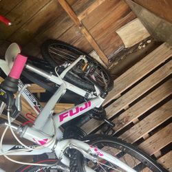 24  Inch Bike Fuji