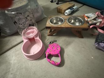 Dog Items