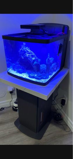 32 gallon cube fish tank