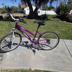 Girls Bike. 24"