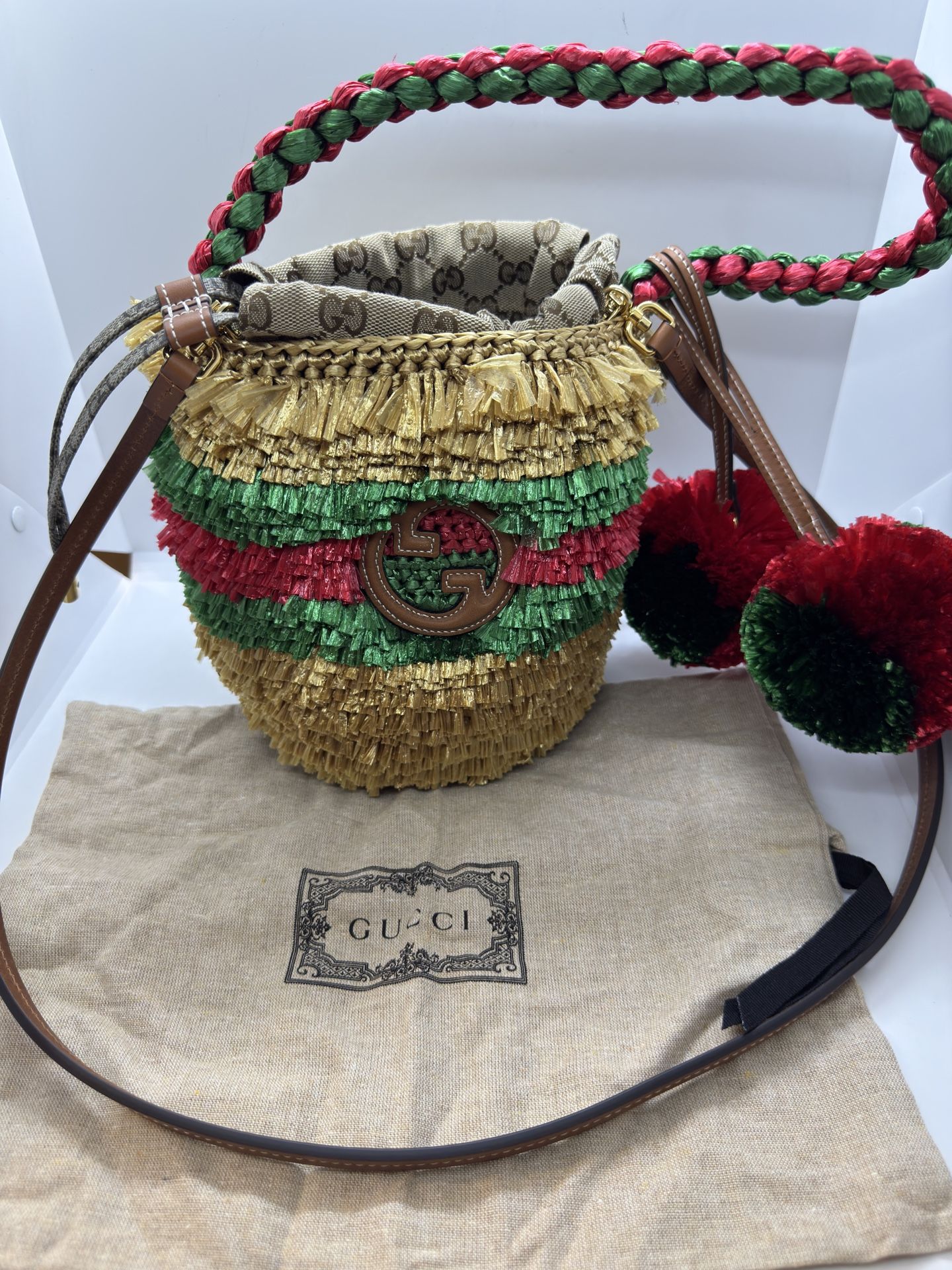 Gucci Limited Edition Bucket Bag