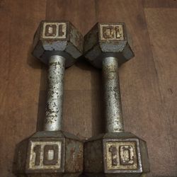 10lbs Weights 