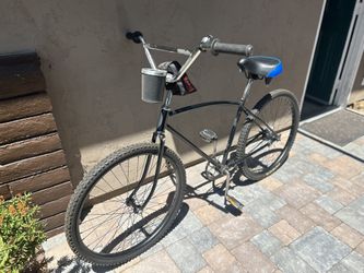 Schwinn Camelback