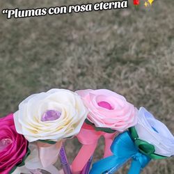 Ribbon roses /rosas de liston