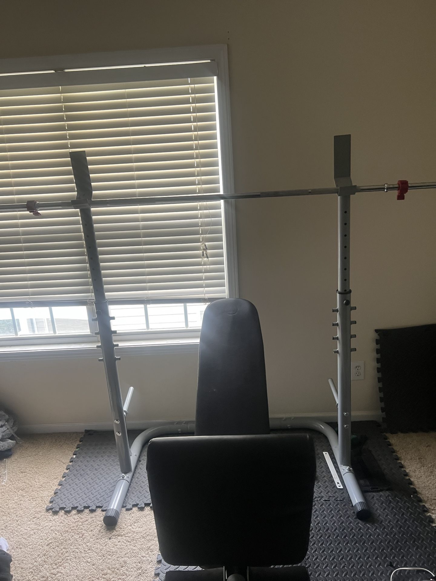 Adjustable Weight Bench + Squat Rack
