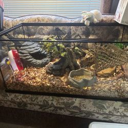 fish Tank/ Incubator 
