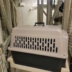 Medium Dog Kennel/carrier 