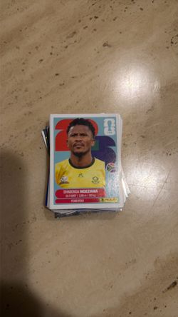 Panini World Cup Stickers