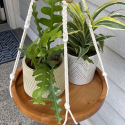 Wood Plant Holder With Macrame New