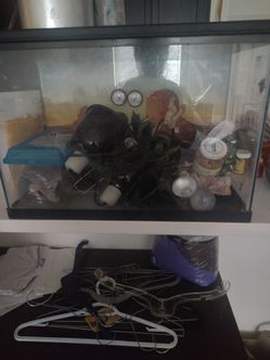 reptiles tank start up kit