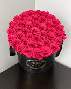 Roses