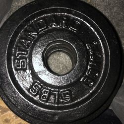 Standard Barbell 5lb