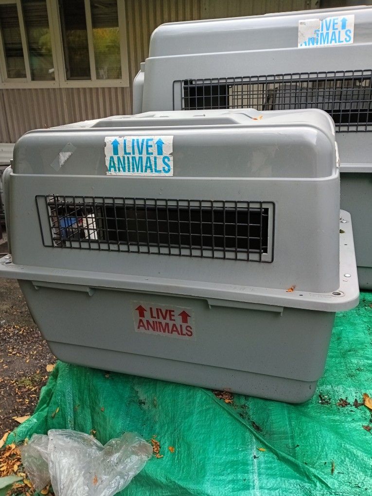 SKY KENNEL ULTRA ( Up To $30 Lb Animals)