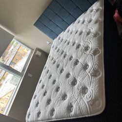 Queen Bedframe & Mattress