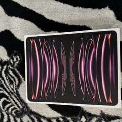 iPad Pro 13 In 256Gb