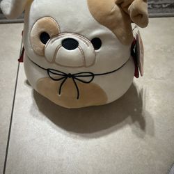 Brock The Squishmallow 