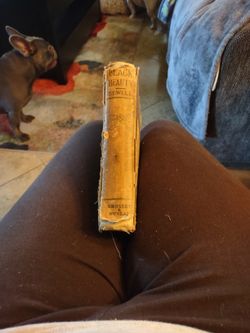 1904 Edition Of Black Beauty..Rare Antique