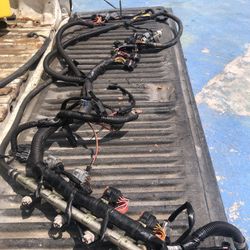Wire Harness Seadoo Spark 