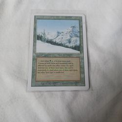Taiga Revised Edition MTG Card