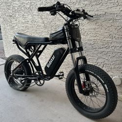 Ridstar Q20 E Bike