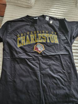 Size Large Mans Shirt Brand New
