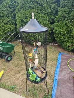 Bird cage