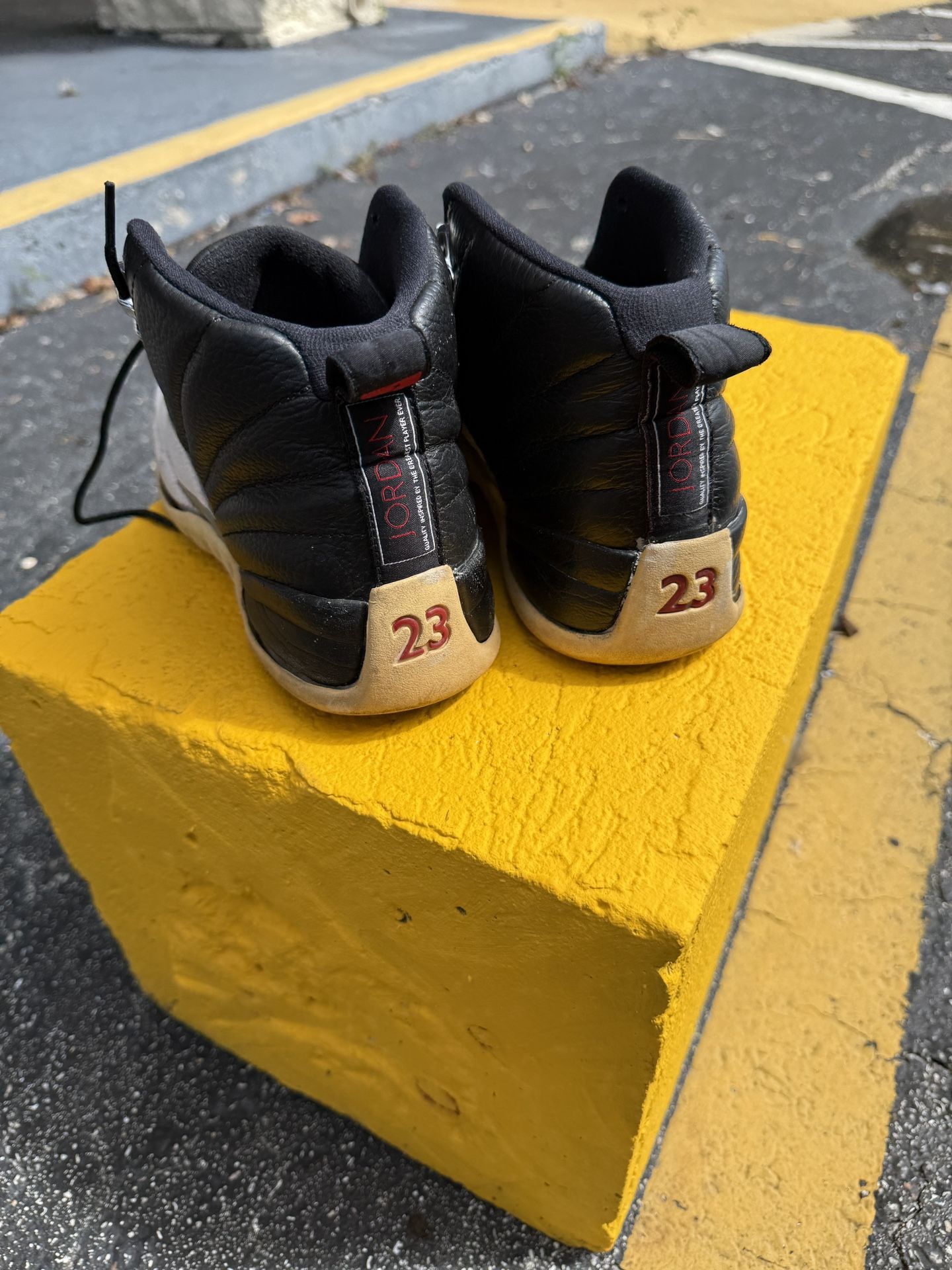 12s Jordans