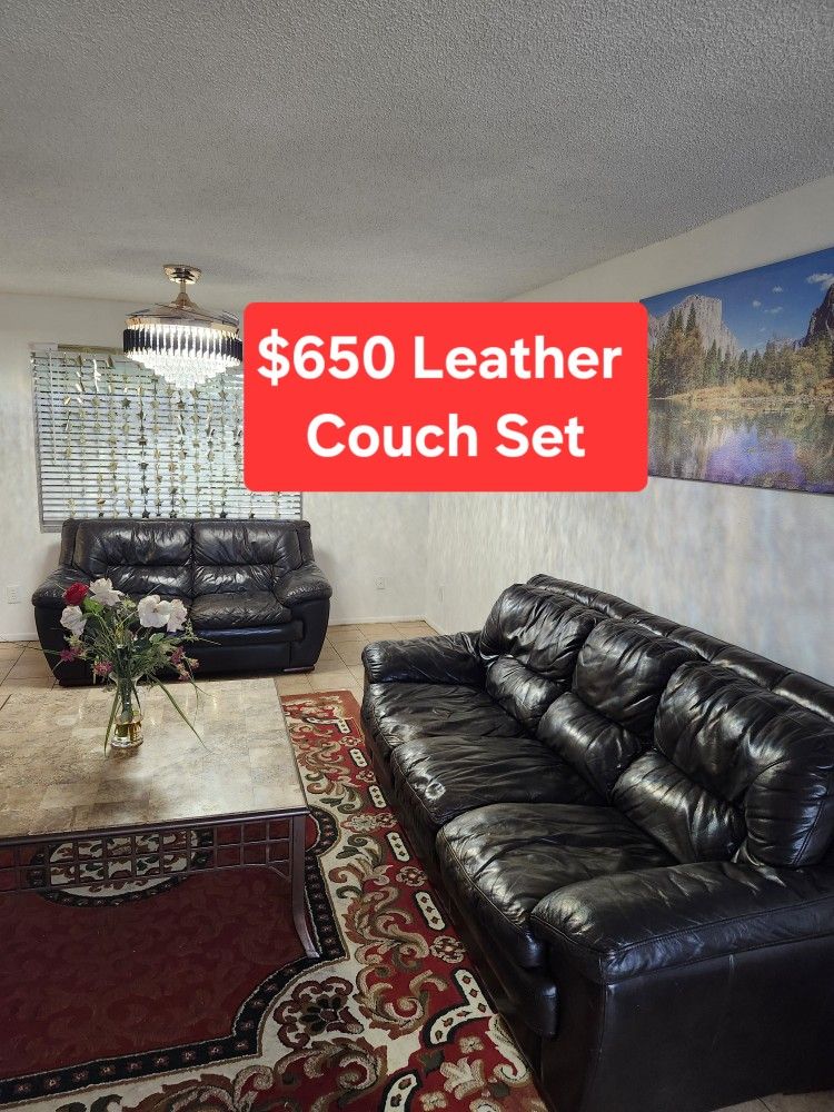 Two Leather Couches