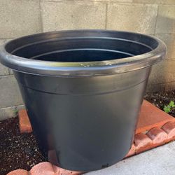 25 Gallons