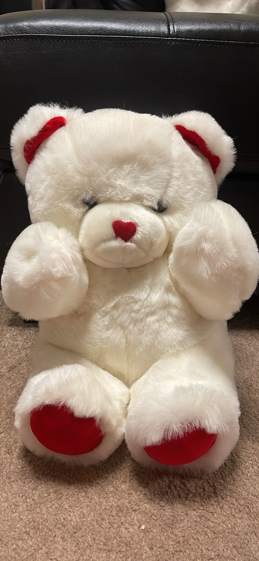 Teddy Bear 🧸