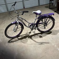 Adult Bike