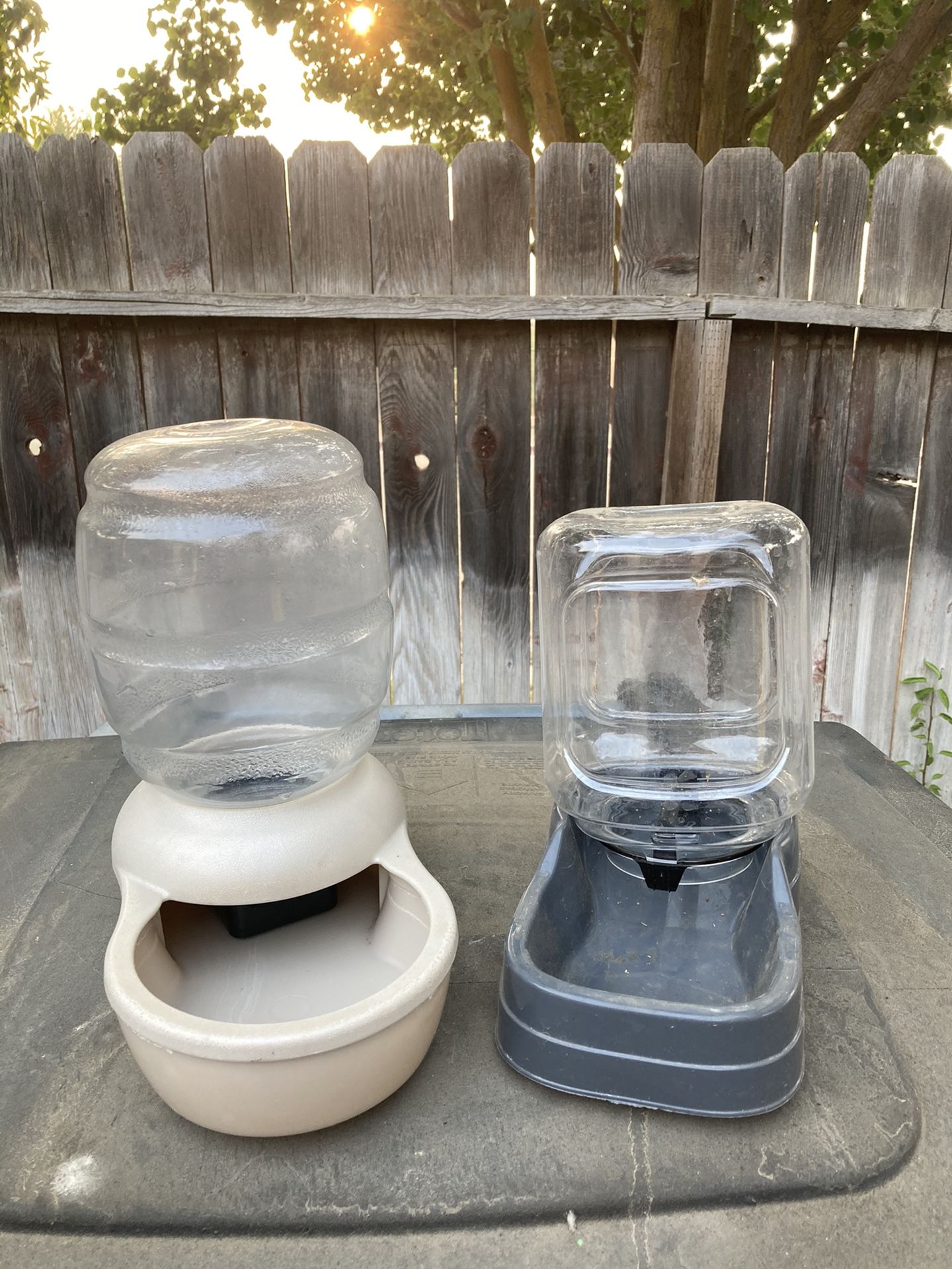 Pet food bowl and water bowl with filter